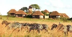 Kidepo Valley Budget Safaris Tour Packages With Prices, Reviews