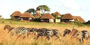 Kidepo Valley Safari Tours