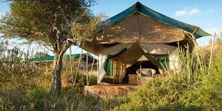 Laikipia Safari Camping Tours