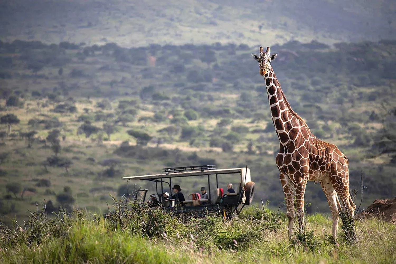 Laikipia Safari Tour