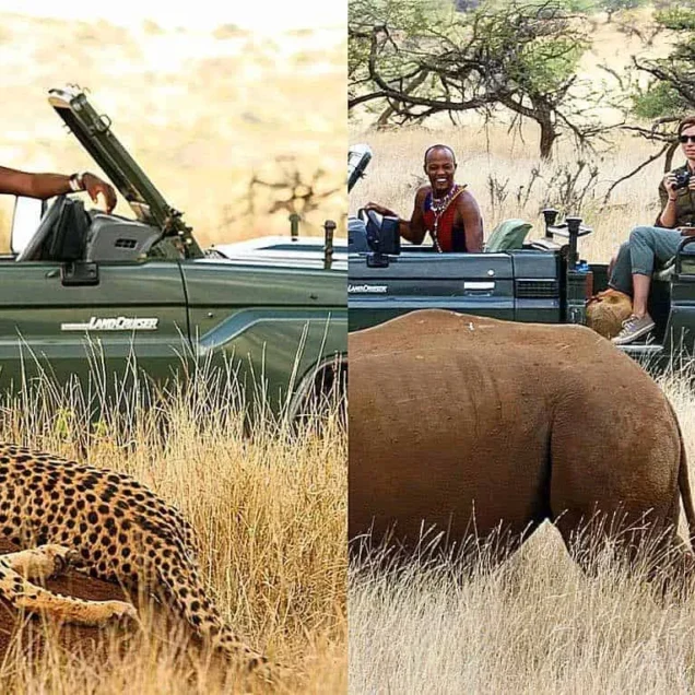 Laikipia Safari Tours & Holiday Packages Prices, Reviews