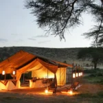 Masai Mara Camping Safaris