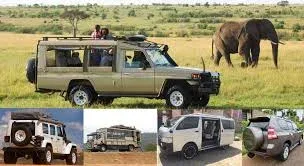 Nairobi NP Safaris Tour Packages With Prices & Reviews