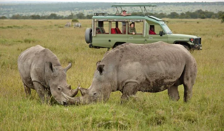 Ol Pejeta Safari Tours
