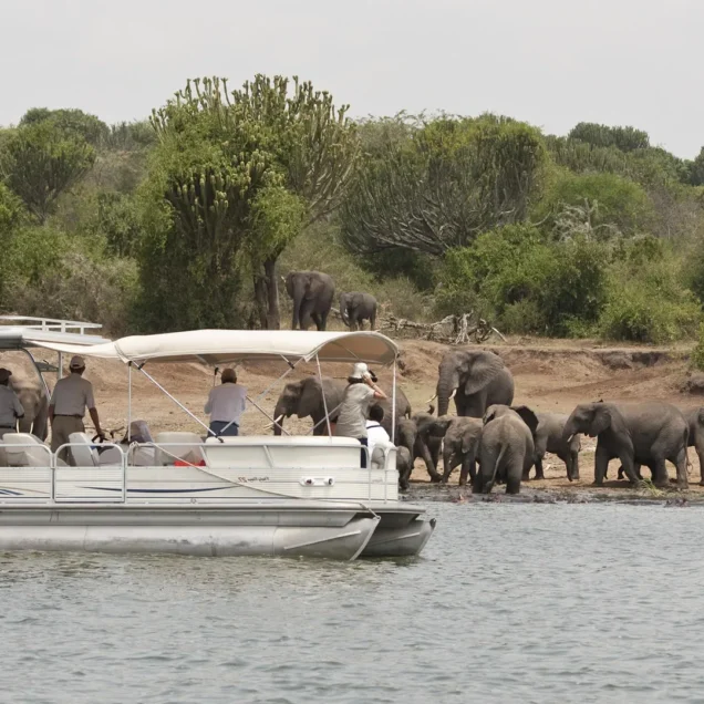 Africa Safari Holidays | Wildlife Safari Tours