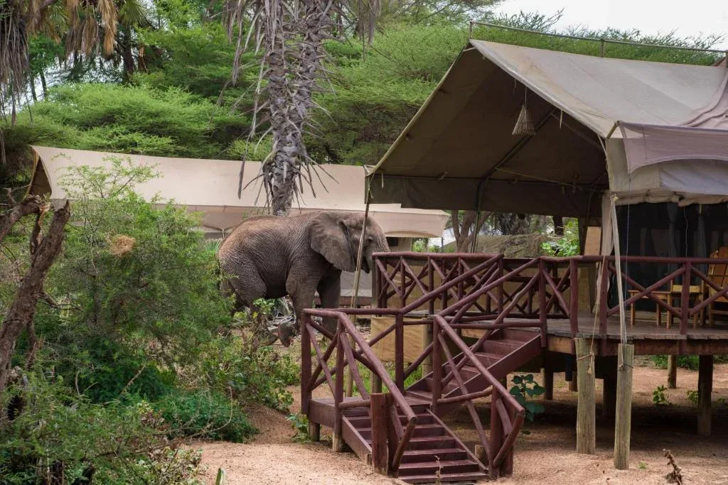 Samburu Elephant Packages