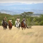 Solio Ranch Safari Tours
