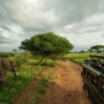 Tarangire Safari Tour