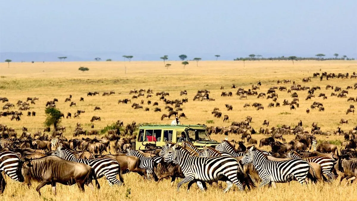 serengeti safari packages