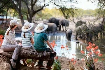 family_safari