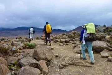 kilimanjaro 6