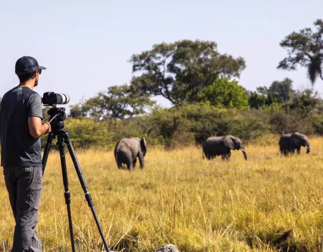 Kenya photographic safaris