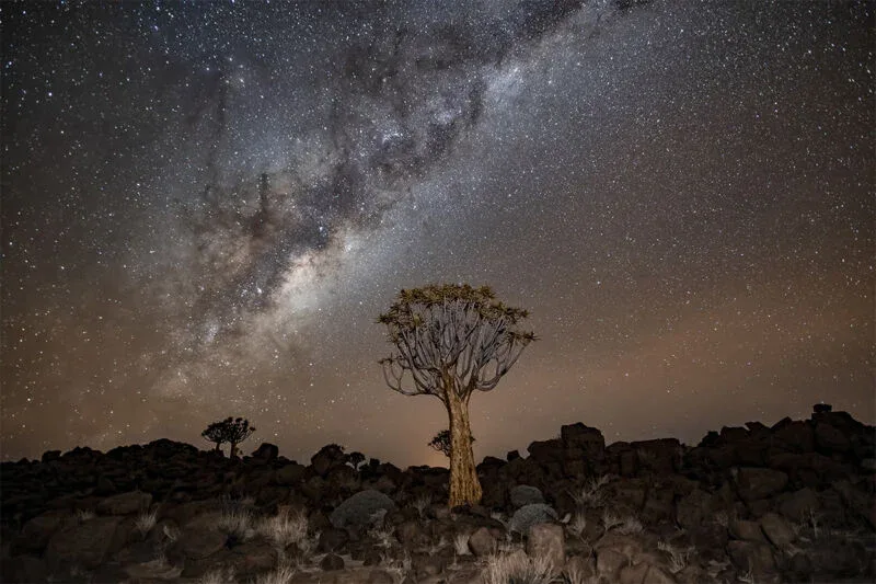 Amakhala Stargazing Safari