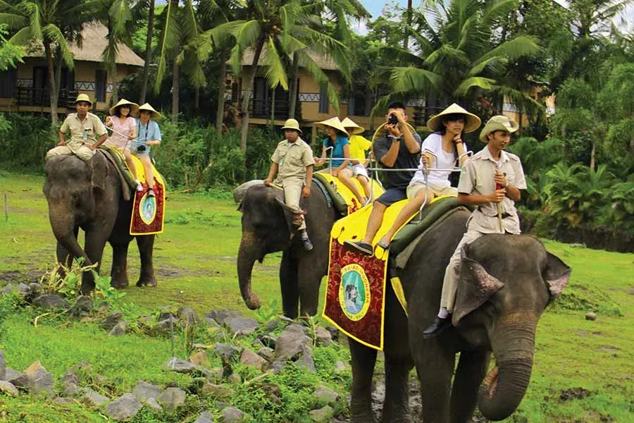 Amber Elephant Ride Safari Package
