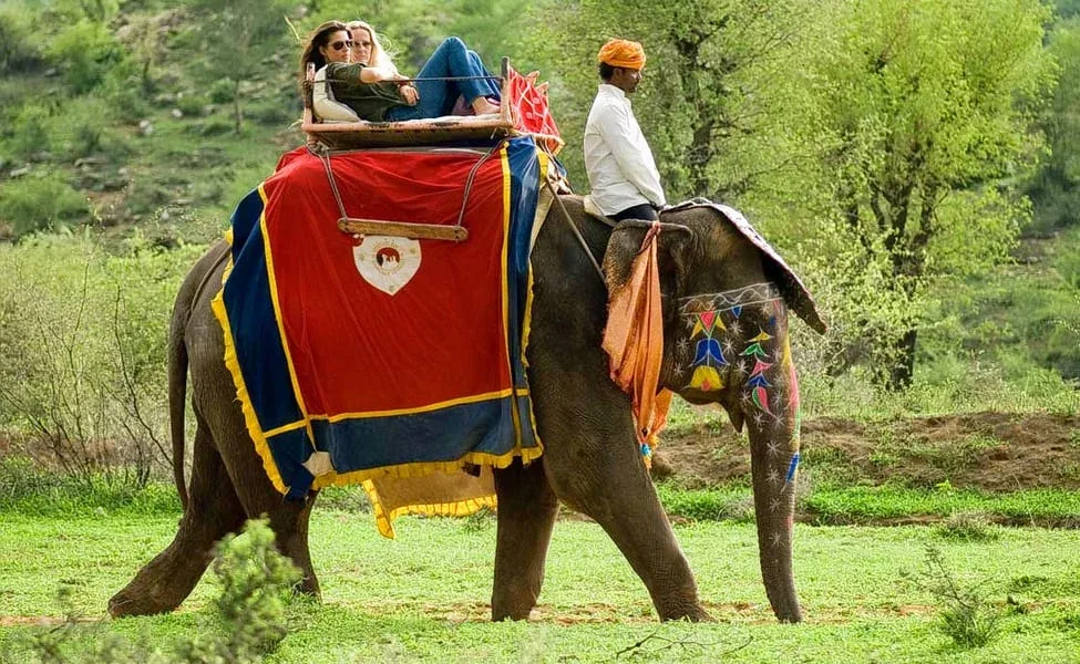 Amber Take an Elephant Ride safari