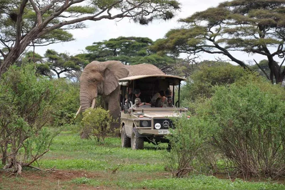 Arusha Game Drive Safari