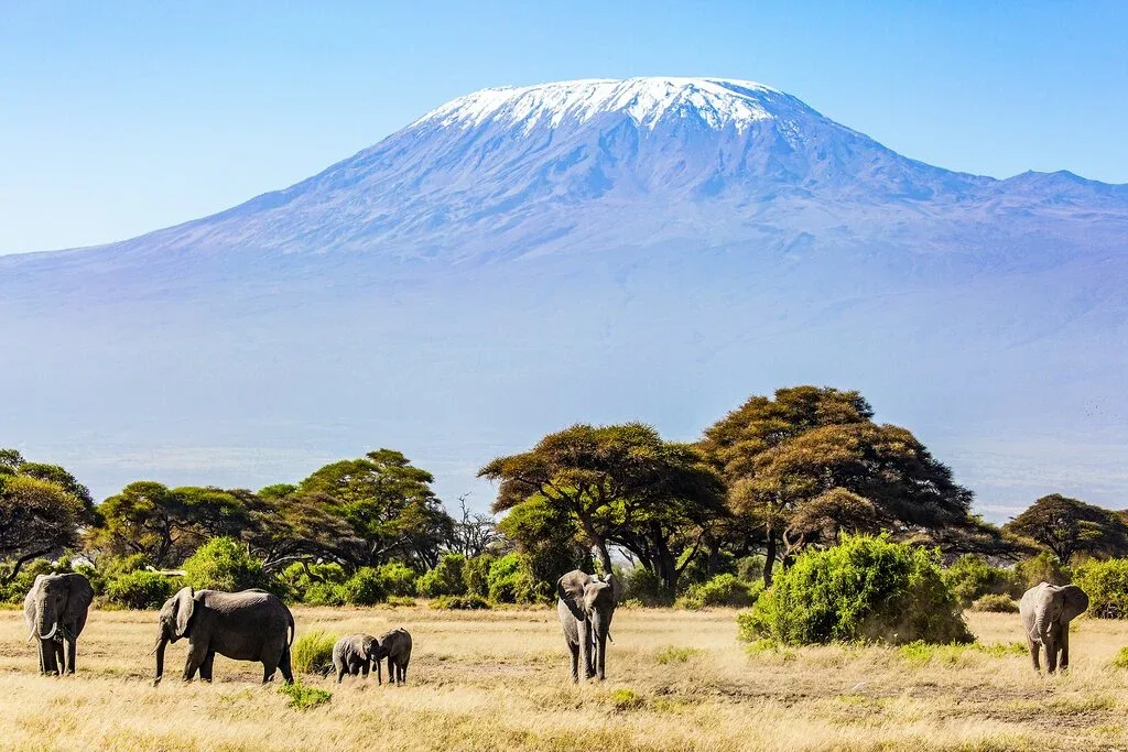 Arusha Mount KIlimanjaro Climbing Safari Package