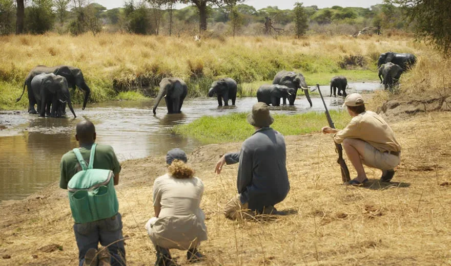 Arusha Special Interests Safari Package
