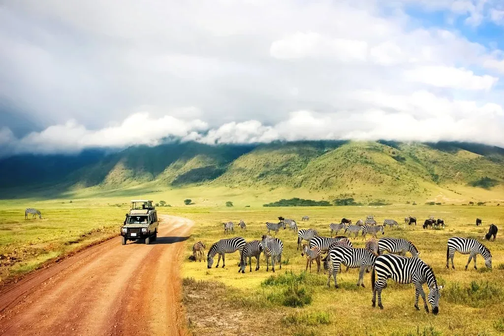 Arusha Visit Ngorongoro Crater Safari