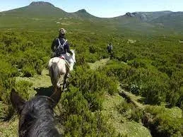 Bale Horseback Riding Safari