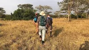 Banhine Guided Walks Safari