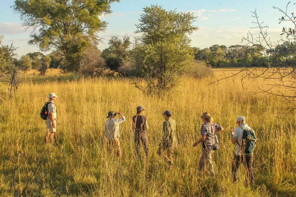 Botswana Walking Safari Package