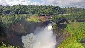 Budongo Forest Combine with Murchison Falls National Park Safari