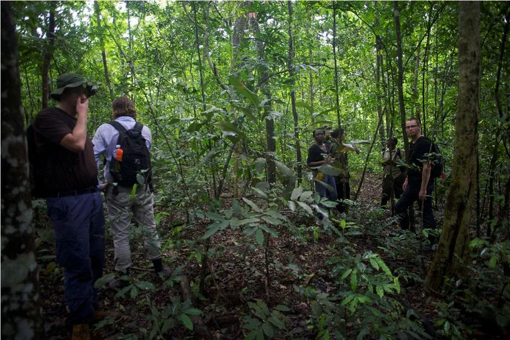 Budongo Forest Guided Forest Walks Safari Package