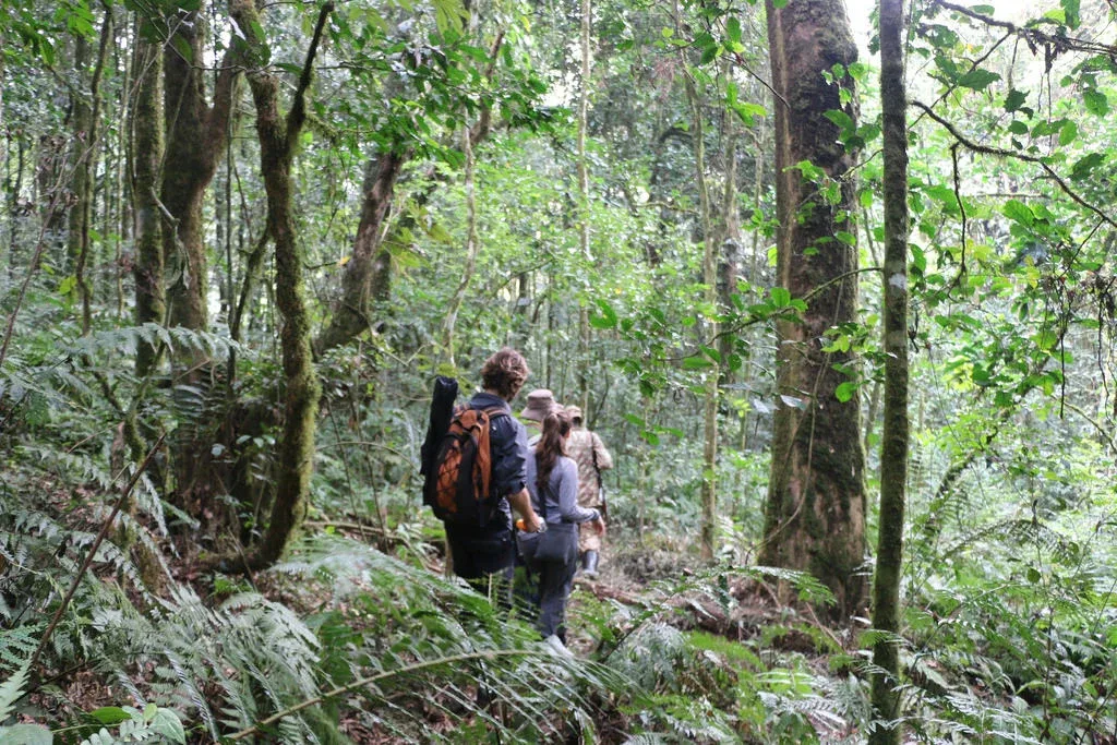 Budongo Forest Support Conservation Safari