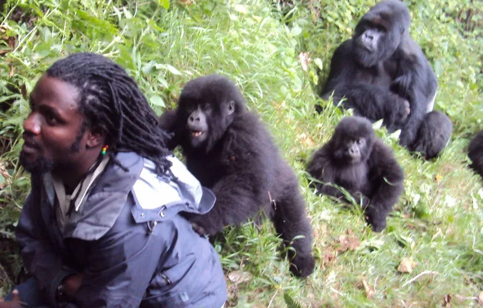 Bwindi Impenetrable Chimpazee Trekking Safari