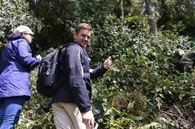 Bwindi Impenetrable Nature and Forest Walk Safari Package