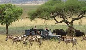 Katavi National Park Game Drives Safari