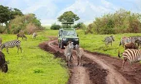 Khaudum National Park Game Drives Safari