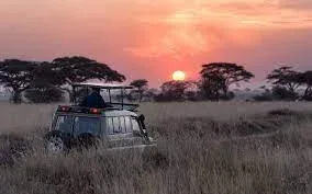 Khaudum National Park Night Drives Safari