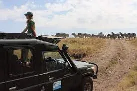 Khaudum National Park Travel Self Drives Safaris