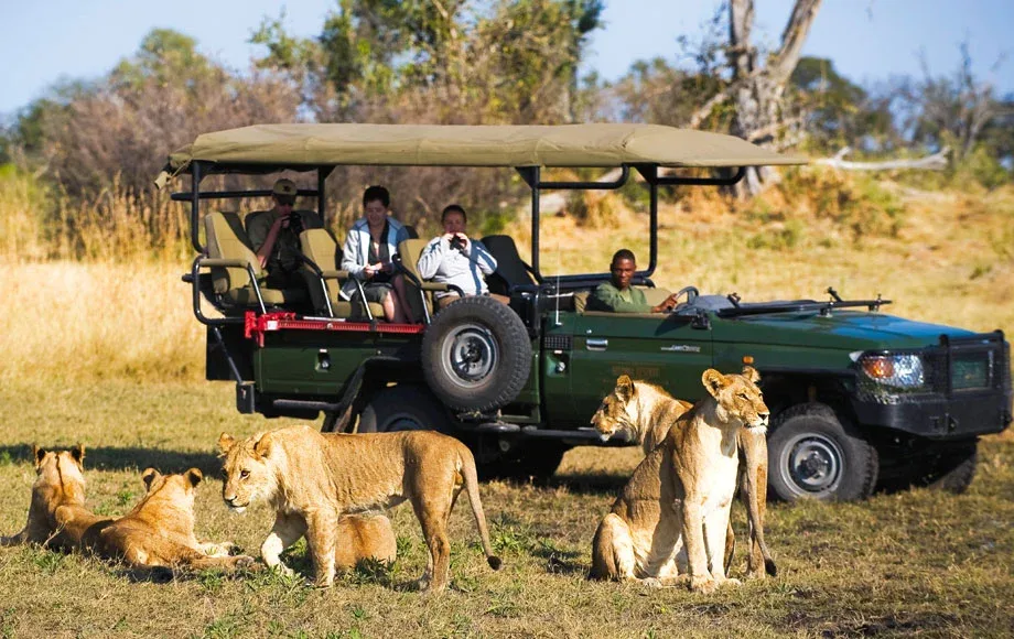 Khutse Game Reserve Travel Game Drive Safari