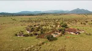 Kidepo Valley National Park Relaxation and Wildlife Viewing from Lodges Safari