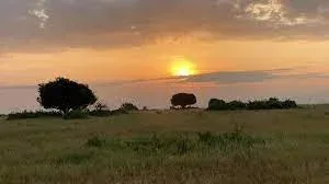 Kidepo Valley National Park Sunset Viewing Safari