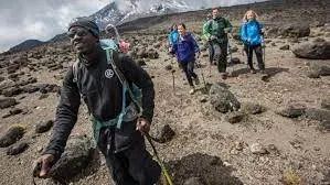 Kilimanjaro Treks Safaris Shira Route