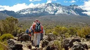 Kilimanjaro Treks safaris Lemosho Route