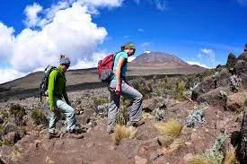 Kilimanjaro Treks safaris Marangu Route