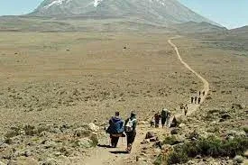 Kilimanjaro Treks safaris Rongai Route