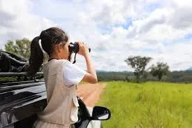 Kruger National Park Travel Luxury Safari Package