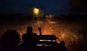 Kruger National Park Travel Night Drives Safaris