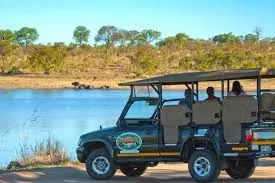 Kruger National Park Travel Private Safari