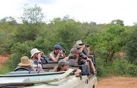 Kuti Wildlife Reserve Travel Game Drives Safaris