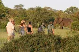 Kuti Wildlife Reserve Travel Guided Walking Safari