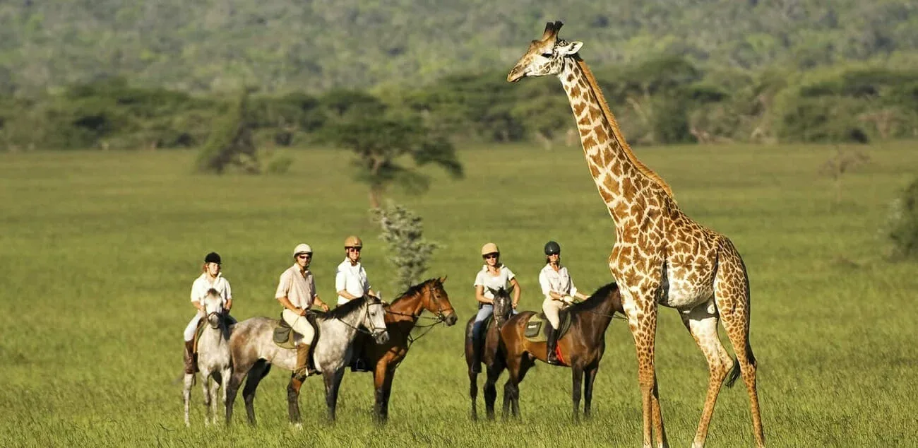 Kwandwe Private Game Reserve Horseback Safari