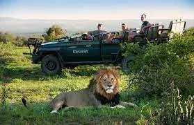 Kwandwe Private Game Reserve Safari Game Drives