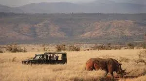 Laikipia Plateau Conservation Safaris